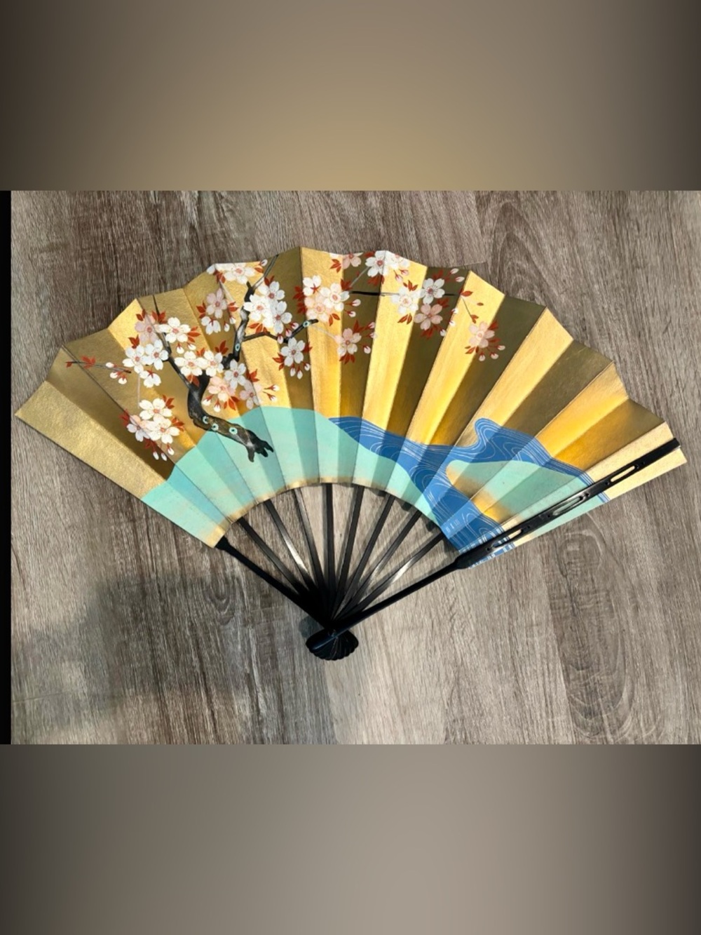 Authentic Japanese fan with fabric case.